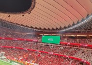 金年会官方入口-主场势如破竹，球队轻松取胜晋级的简单介绍