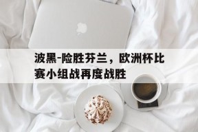 金年会官方入口-波黑-险胜芬兰，欧洲杯比赛小组战再度战胜的简单介绍