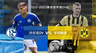 沙尔克队经历连败,主教练面临压力的简单介绍 沙尔克队经历连败,主教练面临压力的简单介绍
